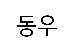 KPOP INFINITE(인피니트、インフィニット) 동우 (ドンウ) コンサート用　応援ボード・うちわ　韓国語/ハングル文字型紙 通常