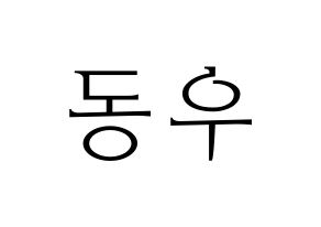 KPOP INFINITE(인피니트、インフィニット) 동우 (ドンウ) 応援ボード・うちわ　韓国語/ハングル文字型紙 通常