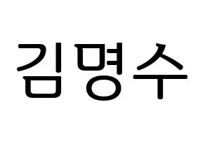 KPOP INFINITE(인피니트、インフィニット) 엘 (エル) プリント用応援ボード型紙、うちわ型紙　韓国語/ハングル文字型紙 通常