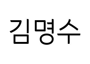KPOP INFINITE(인피니트、インフィニット) 엘 (エル) コンサート用　応援ボード・うちわ　韓国語/ハングル文字型紙 通常