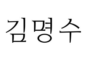 KPOP INFINITE(인피니트、インフィニット) 엘 (エル) 応援ボード・うちわ　韓国語/ハングル文字型紙 通常