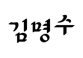 KPOP INFINITE(인피니트、インフィニット) 엘 (エル) 応援ボード ハングル 型紙  通常