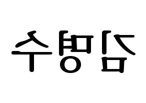 KPOP INFINITE(인피니트、インフィニット) 엘 (エル) プリント用応援ボード型紙、うちわ型紙　韓国語/ハングル文字型紙 左右反転