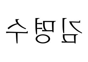 KPOP INFINITE(인피니트、インフィニット) 엘 (エル) 応援ボード・うちわ　韓国語/ハングル文字型紙 左右反転