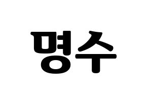 KPOP INFINITE(인피니트、インフィニット) 엘 (エル) コンサート用　応援ボード・うちわ　韓国語/ハングル文字型紙 通常