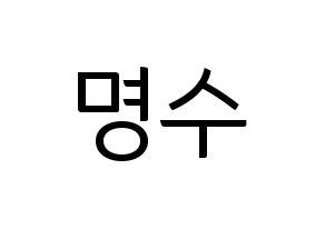 KPOP INFINITE(인피니트、インフィニット) 엘 (エル) コンサート用　応援ボード・うちわ　韓国語/ハングル文字型紙 通常