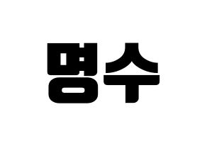 KPOP INFINITE(인피니트、インフィニット) 엘 (エル) コンサート用　応援ボード・うちわ　韓国語/ハングル文字型紙 通常