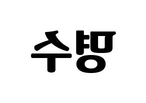 KPOP INFINITE(인피니트、インフィニット) 엘 (エル) コンサート用　応援ボード・うちわ　韓国語/ハングル文字型紙 左右反転