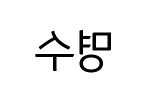 KPOP INFINITE(인피니트、インフィニット) 엘 (エル) コンサート用　応援ボード・うちわ　韓国語/ハングル文字型紙 左右反転