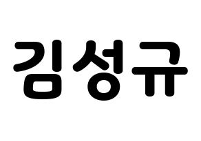 KPOP INFINITE(인피니트、インフィニット) 성규 (ソンギュ) 応援ボード・うちわ　韓国語/ハングル文字型紙 通常