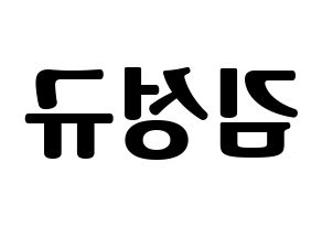 KPOP INFINITE(인피니트、インフィニット) 성규 (ソンギュ) コンサート用　応援ボード・うちわ　韓国語/ハングル文字型紙 左右反転