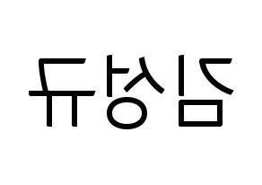 KPOP INFINITE(인피니트、インフィニット) 성규 (ソンギュ) コンサート用　応援ボード・うちわ　韓国語/ハングル文字型紙 左右反転