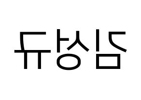 KPOP INFINITE(인피니트、インフィニット) 성규 (ソンギュ) プリント用応援ボード型紙、うちわ型紙　韓国語/ハングル文字型紙 左右反転