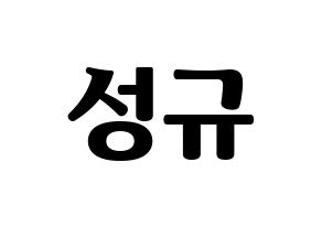 KPOP INFINITE(인피니트、インフィニット) 성규 (ソンギュ) コンサート用　応援ボード・うちわ　韓国語/ハングル文字型紙 通常