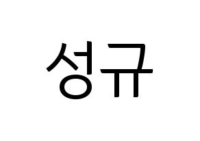 KPOP INFINITE(인피니트、インフィニット) 성규 (ソンギュ) コンサート用　応援ボード・うちわ　韓国語/ハングル文字型紙 通常