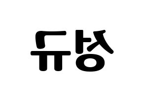 KPOP INFINITE(인피니트、インフィニット) 성규 (ソンギュ) コンサート用　応援ボード・うちわ　韓国語/ハングル文字型紙 左右反転