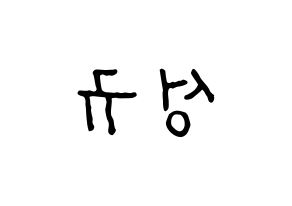 KPOP INFINITE(인피니트、インフィニット) 성규 (ソンギュ) k-pop アイドル名前 ファンサボード 型紙 左右反転