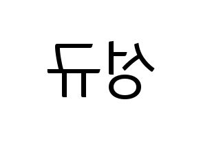 KPOP INFINITE(인피니트、インフィニット) 성규 (ソンギュ) コンサート用　応援ボード・うちわ　韓国語/ハングル文字型紙 左右反転