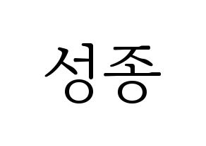 KPOP INFINITE(인피니트、インフィニット) 성종 (ソンジョン) 応援ボード・うちわ　韓国語/ハングル文字型紙 通常