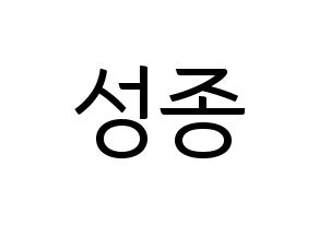 KPOP INFINITE(인피니트、インフィニット) 성종 (ソンジョン) コンサート用　応援ボード・うちわ　韓国語/ハングル文字型紙 通常
