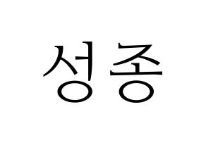 KPOP INFINITE(인피니트、インフィニット) 성종 (ソンジョン) 応援ボード・うちわ　韓国語/ハングル文字型紙 通常