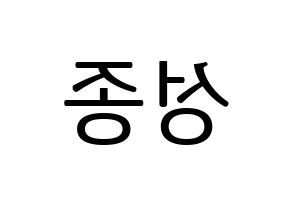 KPOP INFINITE(인피니트、インフィニット) 성종 (ソンジョン) プリント用応援ボード型紙、うちわ型紙　韓国語/ハングル文字型紙 左右反転