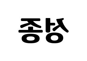 KPOP INFINITE(인피니트、インフィニット) 성종 (ソンジョン) コンサート用　応援ボード・うちわ　韓国語/ハングル文字型紙 左右反転