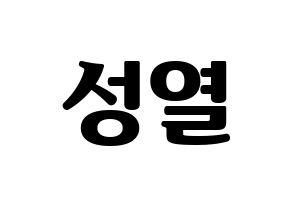 KPOP INFINITE(인피니트、インフィニット) 성열 (ソンヨル) コンサート用　応援ボード・うちわ　韓国語/ハングル文字型紙 通常