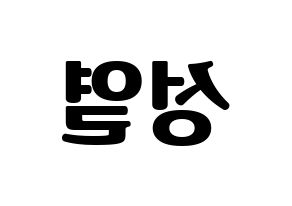 KPOP INFINITE(인피니트、インフィニット) 성열 (ソンヨル) コンサート用　応援ボード・うちわ　韓国語/ハングル文字型紙 左右反転