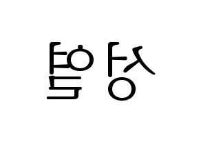 KPOP INFINITE(인피니트、インフィニット) 성열 (ソンヨル) 応援ボード・うちわ　韓国語/ハングル文字型紙 左右反転