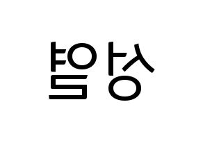 KPOP INFINITE(인피니트、インフィニット) 성열 (ソンヨル) コンサート用　応援ボード・うちわ　韓国語/ハングル文字型紙 左右反転