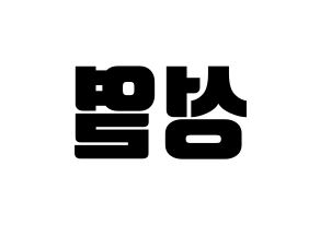 KPOP INFINITE(인피니트、インフィニット) 성열 (ソンヨル) コンサート用　応援ボード・うちわ　韓国語/ハングル文字型紙 左右反転