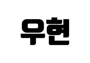 KPOP INFINITE(인피니트、インフィニット) 우현 (ウヒョン) コンサート用　応援ボード・うちわ　韓国語/ハングル文字型紙 通常