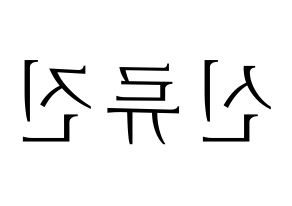 KPOP ITZY(있지、イッジ) 류진 (リュジン) 応援ボード・うちわ　韓国語/ハングル文字型紙 左右反転