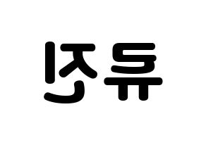 KPOP ITZY(있지、イッジ) 류진 (リュジン) 応援ボード・うちわ　韓国語/ハングル文字型紙 左右反転