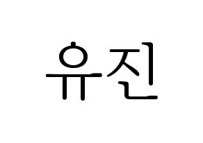 KPOP IZ*ONE(아이즈원、アイズワン) 안유진 (アン・ユジン) 応援ボード・うちわ　韓国語/ハングル文字型紙 通常