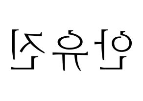 KPOP IZ*ONE(아이즈원、アイズワン) 안유진 (アン・ユジン) 応援ボード・うちわ　韓国語/ハングル文字型紙 左右反転
