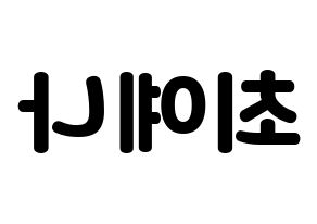 KPOP IZ*ONE(아이즈원、アイズワン) 최예나 (チェ・イェナ) 応援ボード・うちわ　韓国語/ハングル文字型紙 左右反転