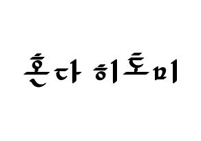 KPOP IZ*ONE(아이즈원、アイズワン) 혼다 히토미 (ホンダヒトミ) 応援ボード ハングル 型紙  通常