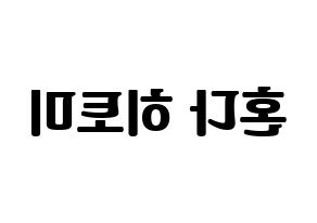 KPOP IZ*ONE(아이즈원、アイズワン) 혼다 히토미 (ホンダヒトミ) コンサート用　応援ボード・うちわ　韓国語/ハングル文字型紙 左右反転