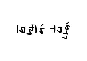 KPOP IZ*ONE(아이즈원、アイズワン) 혼다 히토미 (ホンダヒトミ) 応援ボード ハングル 型紙  左右反転