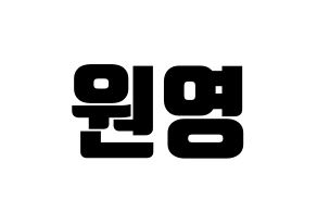 KPOP IZ*ONE(아이즈원、アイズワン) 장원영 (チャン・ウォニョン) コンサート用　応援ボード・うちわ　韓国語/ハングル文字型紙 通常
