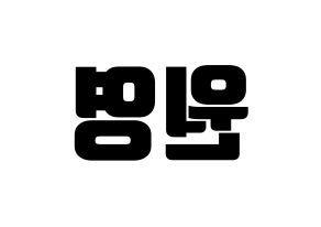 KPOP IZ*ONE(아이즈원、アイズワン) 장원영 (チャン・ウォニョン) コンサート用　応援ボード・うちわ　韓国語/ハングル文字型紙 左右反転