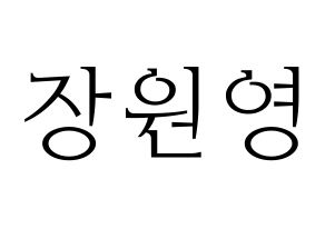 KPOP IZ*ONE(아이즈원、アイズワン) 장원영 (チャン・ウォニョン) 応援ボード・うちわ　韓国語/ハングル文字型紙 通常
