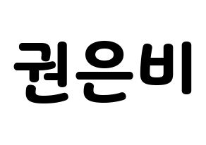 KPOP IZ*ONE(아이즈원、アイズワン) 권은비 (クォン・ウンビ) 応援ボード・うちわ　韓国語/ハングル文字型紙 通常
