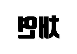 KPOP IZ*ONE(아이즈원、アイズワン) 이채연 (イ・チェヨン) コンサート用　応援ボード・うちわ　韓国語/ハングル文字型紙 左右反転