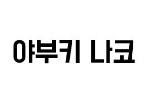 KPOP IZ*ONE(아이즈원、アイズワン) 야부키 나코 (ヤブキナコ) 名前 応援ボード 作り方 通常