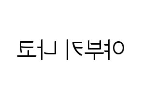 KPOP IZ*ONE(아이즈원、アイズワン) 야부키 나코 (ヤブキナコ) コンサート用　応援ボード・うちわ　韓国語/ハングル文字型紙 左右反転