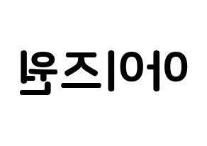 KPOP IZ*ONE(아이즈원、アイズワン) k-pop ボード ハングル表記 言葉 左右反転