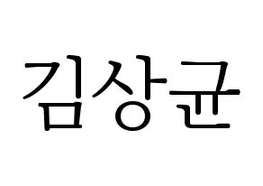 KPOP JBJ95(JBJ95、ジェイビージェークオ) 김상균 (キム・サンギュン) 応援ボード・うちわ　韓国語/ハングル文字型紙 通常